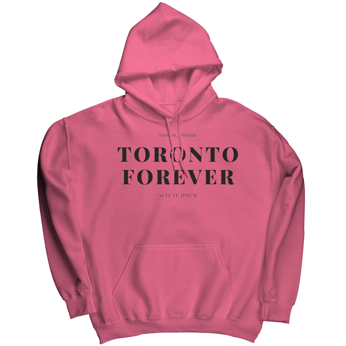 Toronto Forever Hoodie thebargainbuzz