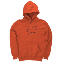 Load image into Gallery viewer, Know_Thyself_Hoodie_Orange_Mockup.png_15872419

